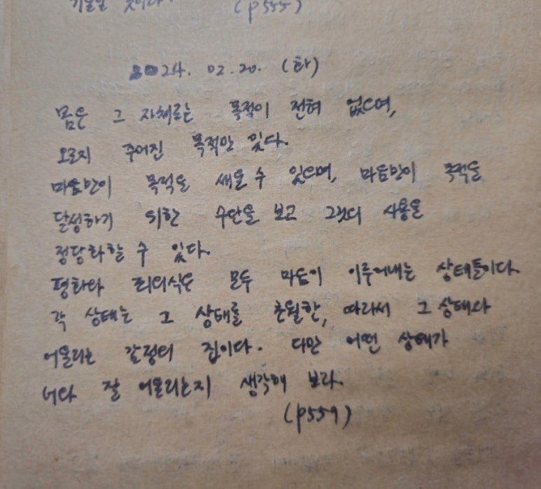 평화라이팅 이미지