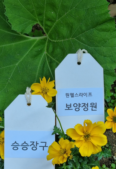 헬스라이프스토리 이미지