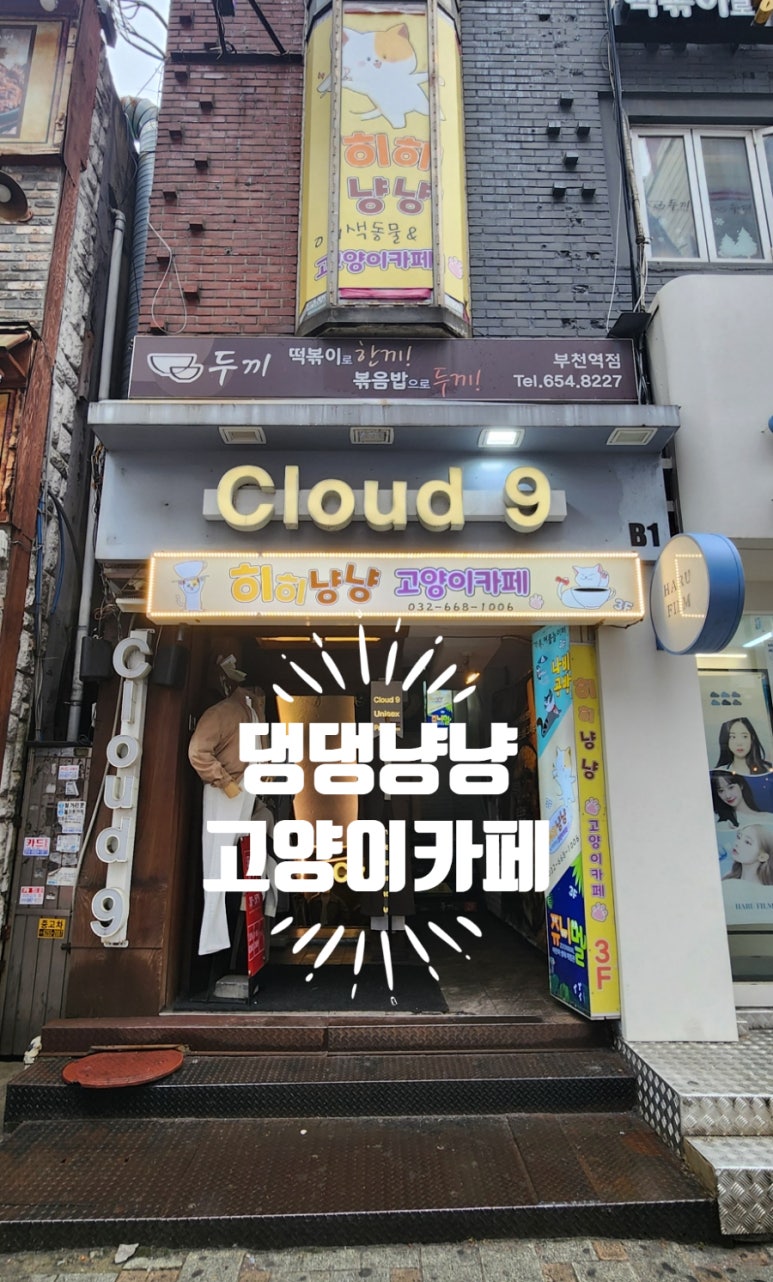 댕댕냥냥부천점 이미지