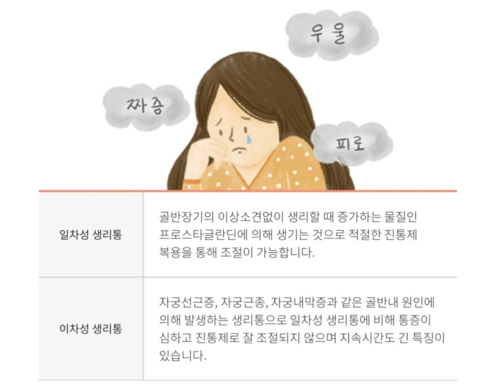 본베베여성의원 이미지