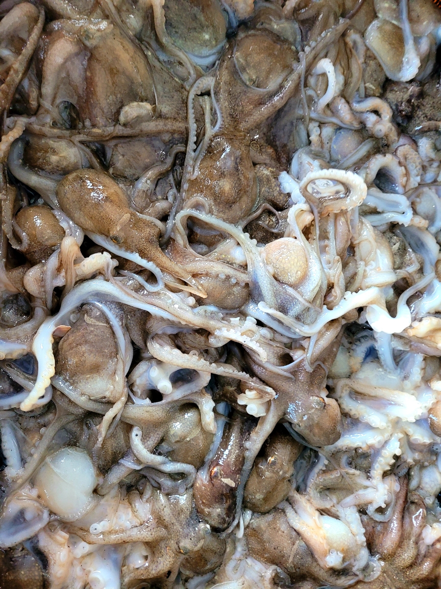 삼복수산 이미지