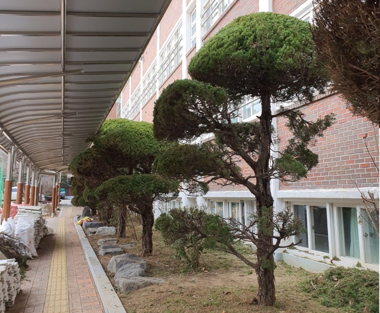 덕일전자공업고등학교 이미지