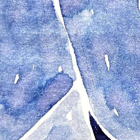 칼라프로젝트 이미지