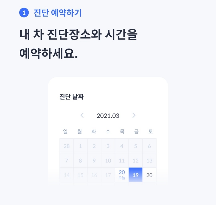헤이드니 이미지