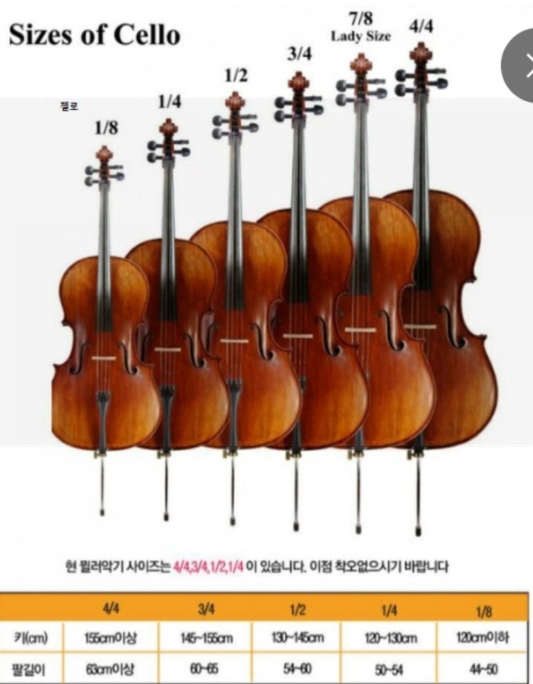알프스음악학원 이미지