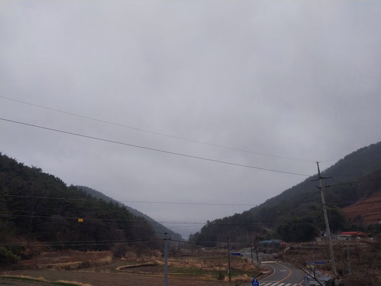 블레스밀 이미지