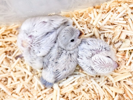 (주)트루팜 이미지