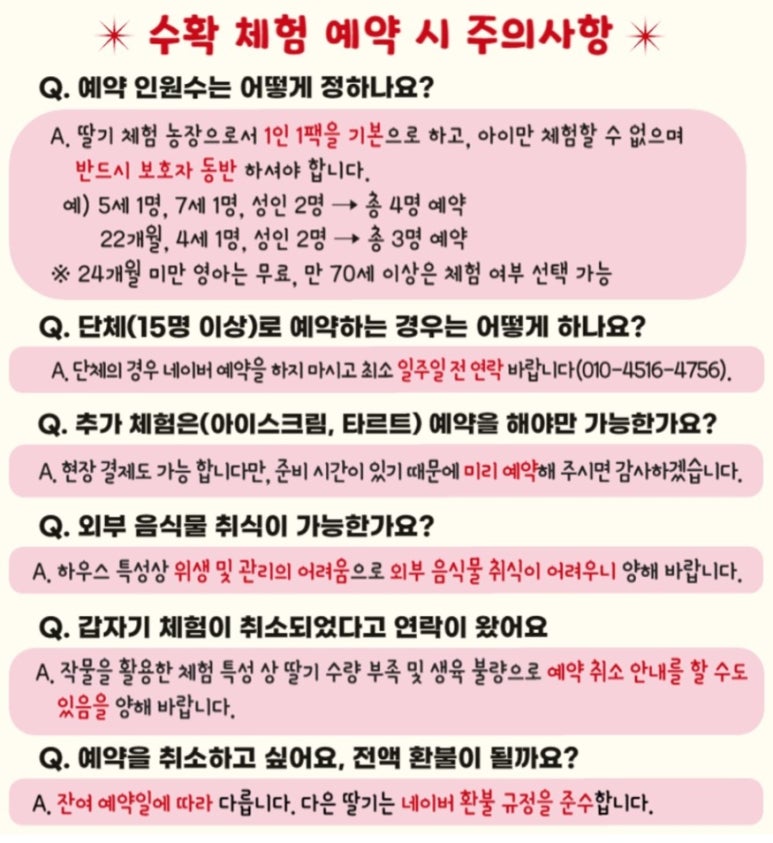 다은딸기 이미지