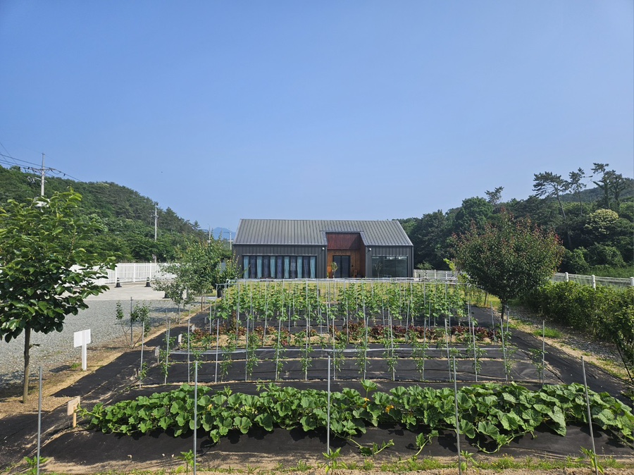 카페누누 이미지