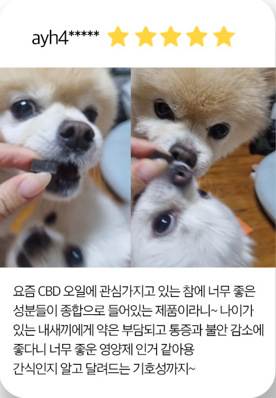 큐어랩스 이미지