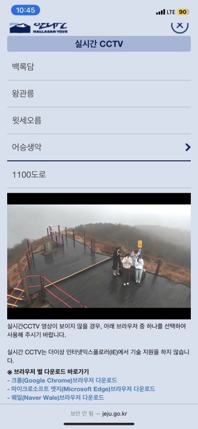 덴드리 이미지