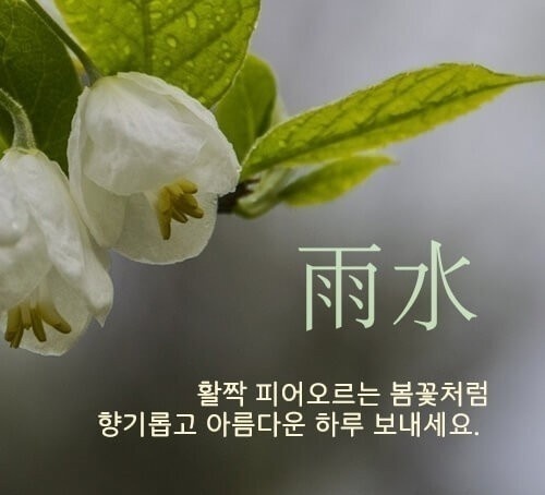 윤서네 칼국수 이미지