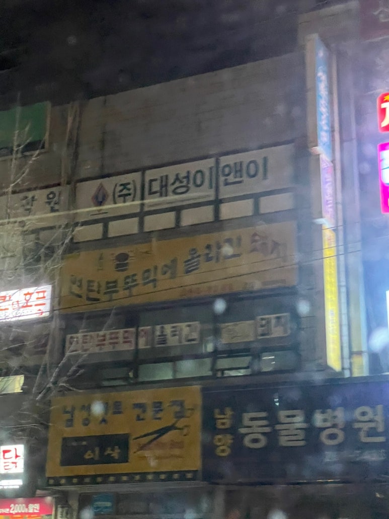 연탄부뚜막에올라간돼지 이미지