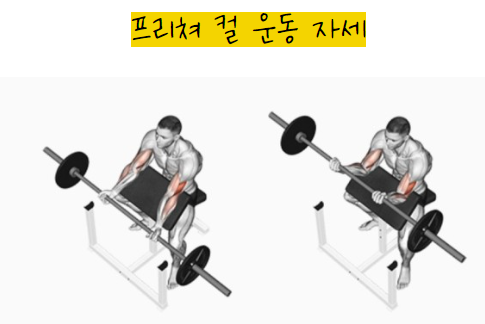 브이텐휘트니스 이미지