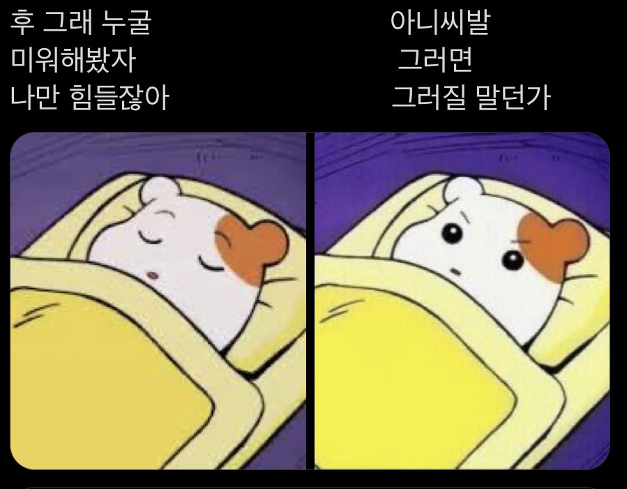 알파카라반 이미지
