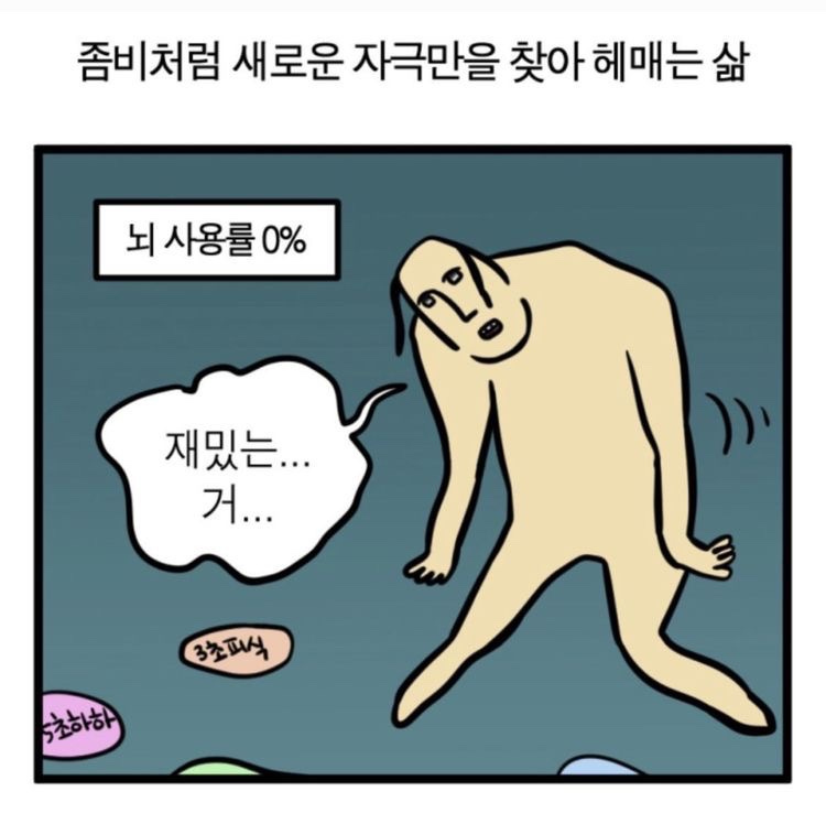 알파카라반 이미지