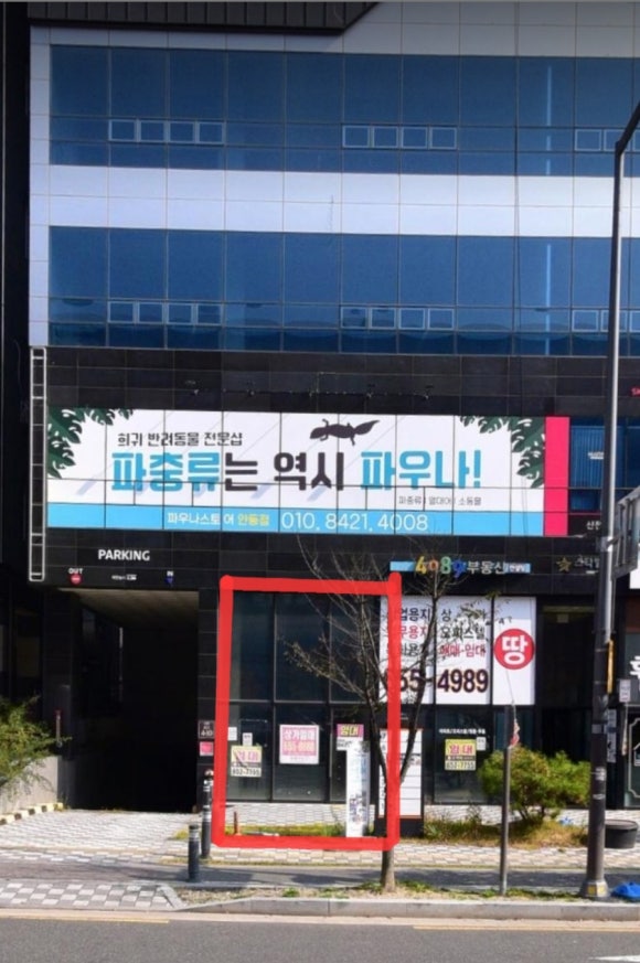 스텔라떡볶이경북 이미지