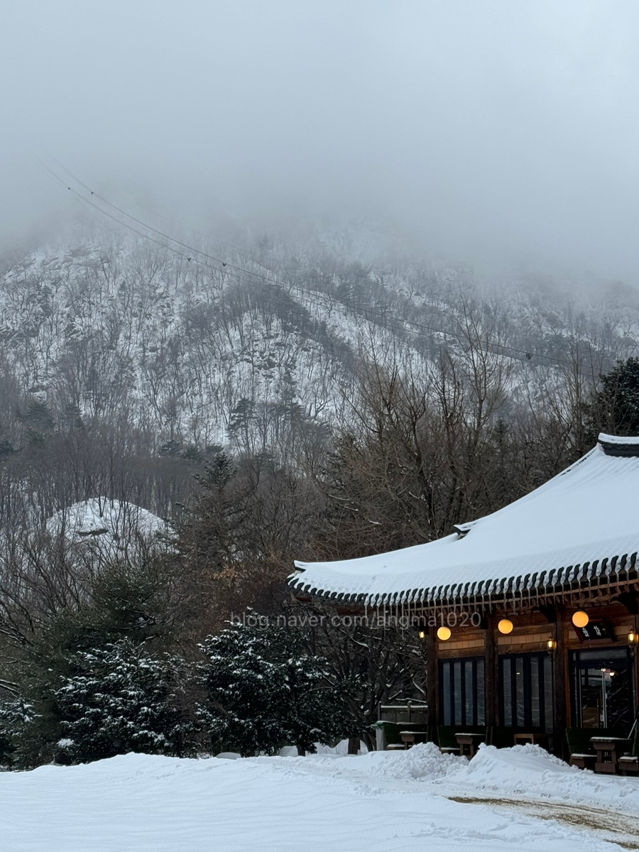 하이넷 내린천휴게소 수소충전소 이미지