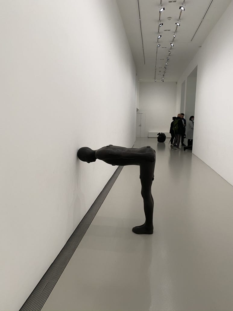 오르네파리 이미지