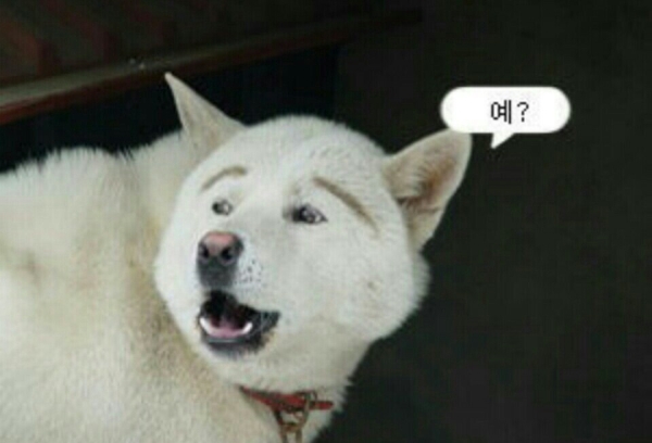 라인인테리어 이미지