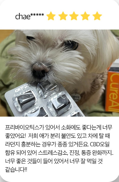 큐어랩스 이미지
