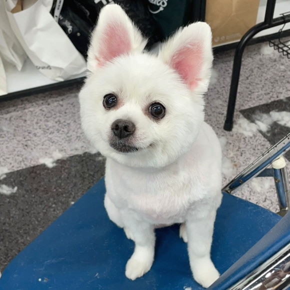 동화미용 이미지