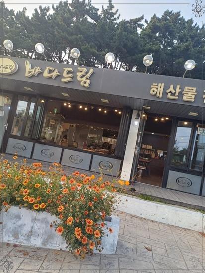 바다드림 이미지