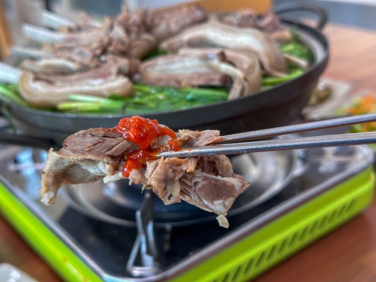 청솔흑염소 이미지