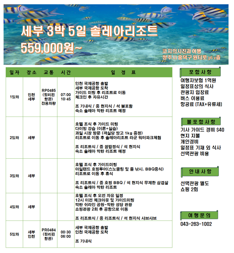 세부전문투어 이미지