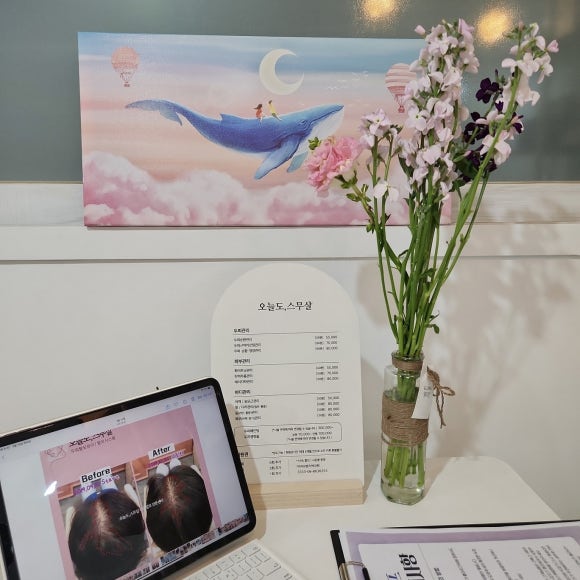 엘리안플라워 이미지
