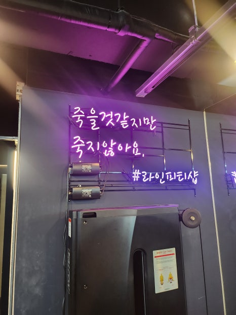 라인피티 이미지