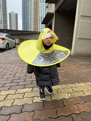 버블아이식판 이미지