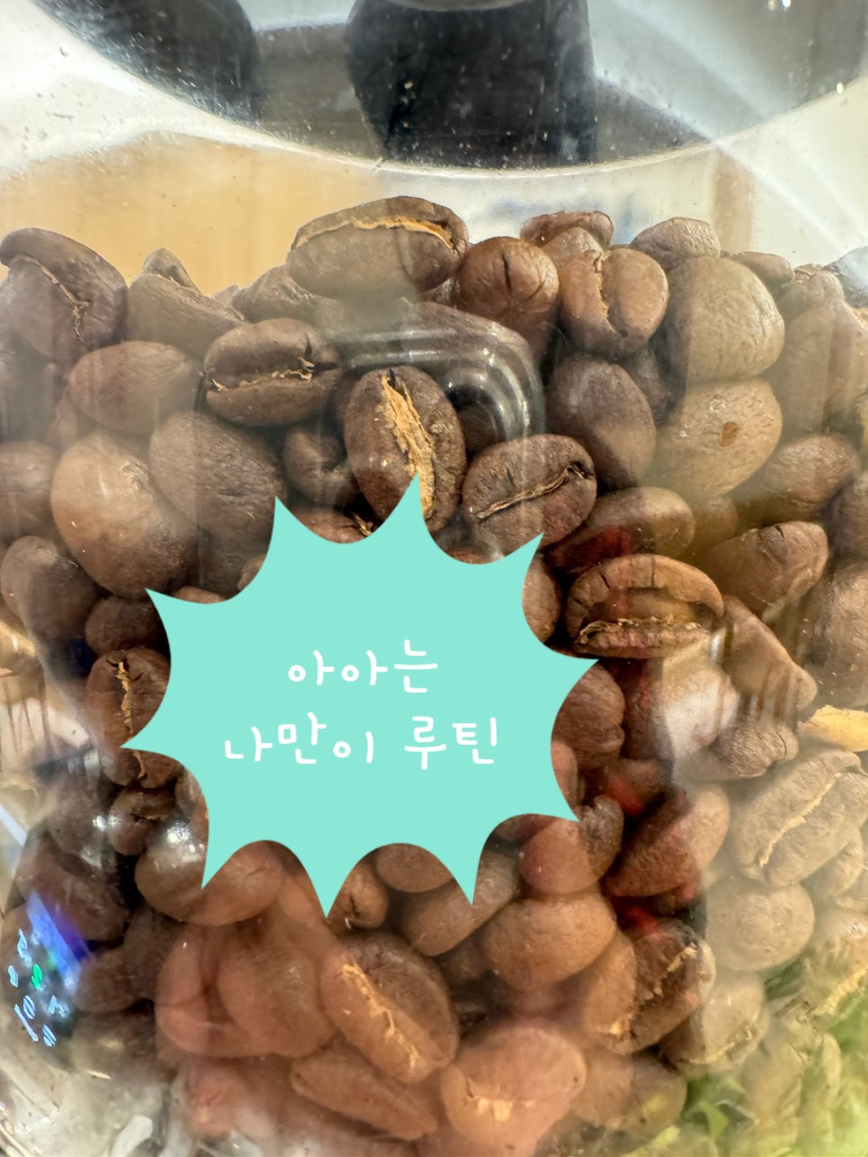텐퍼센트커피 언양읍성점 이미지