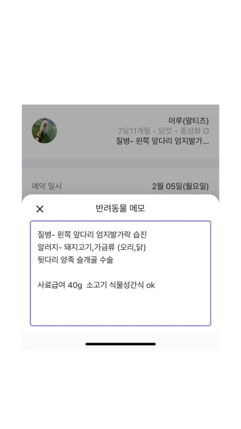 멍스럽 이미지