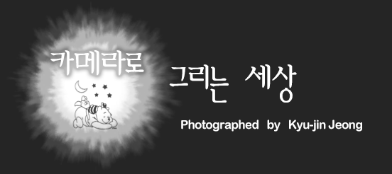 별나무공작소 이미지