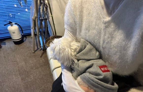 데이오브투컬러스 이미지