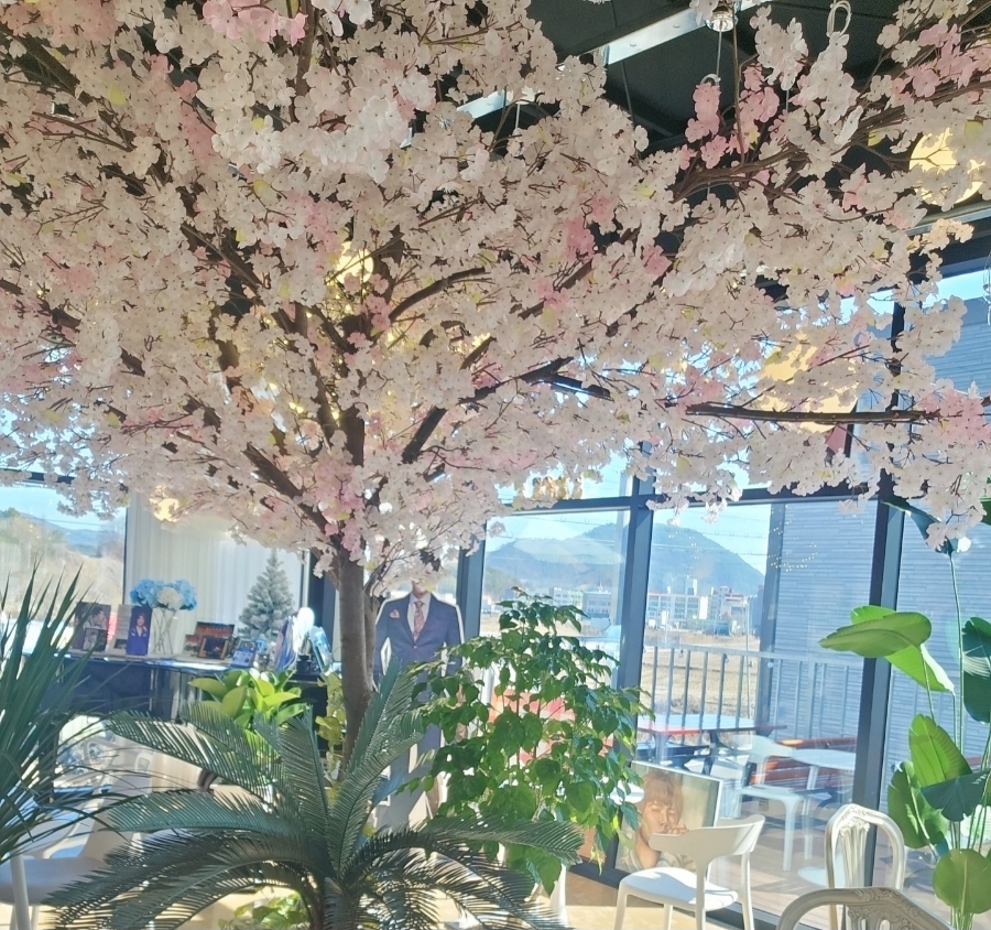 칸타빌레별 이미지