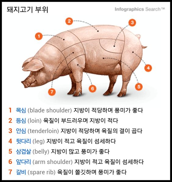 에프엠비 이미지
