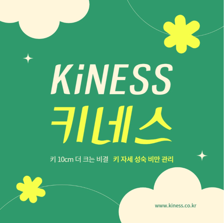 (주)키네스 이미지