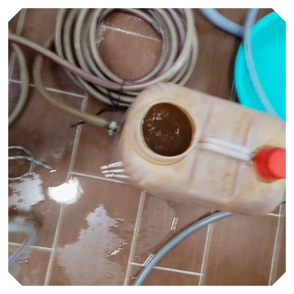 해피수목토 이미지