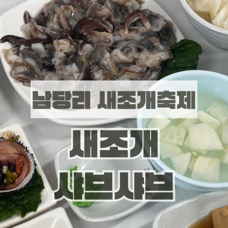 광수 새조개 이미지