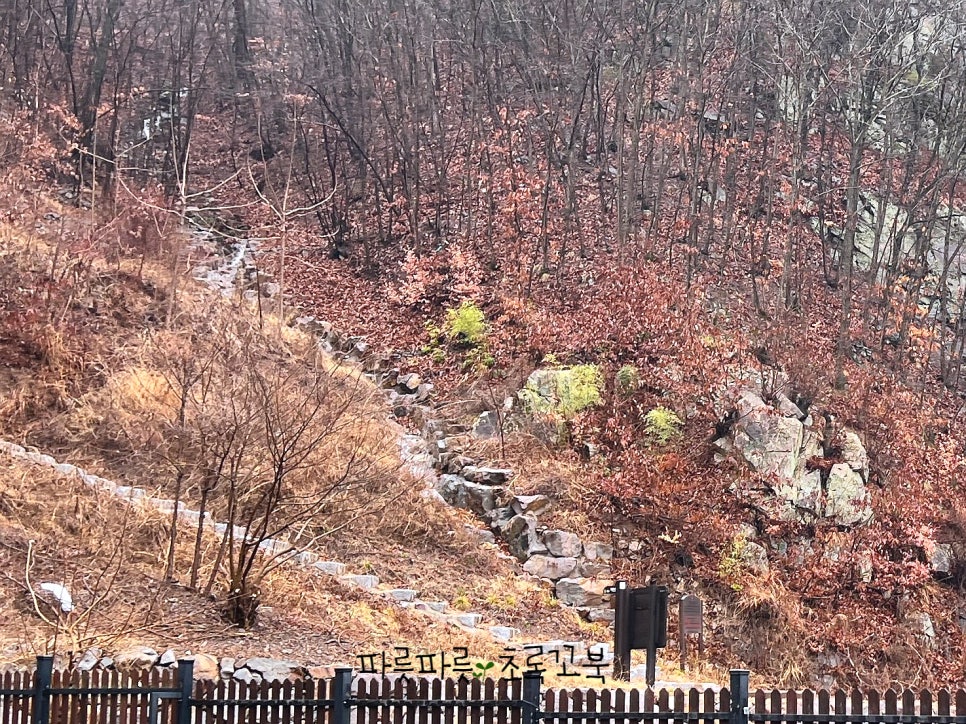 의령 거장산 오토캠핑 이미지