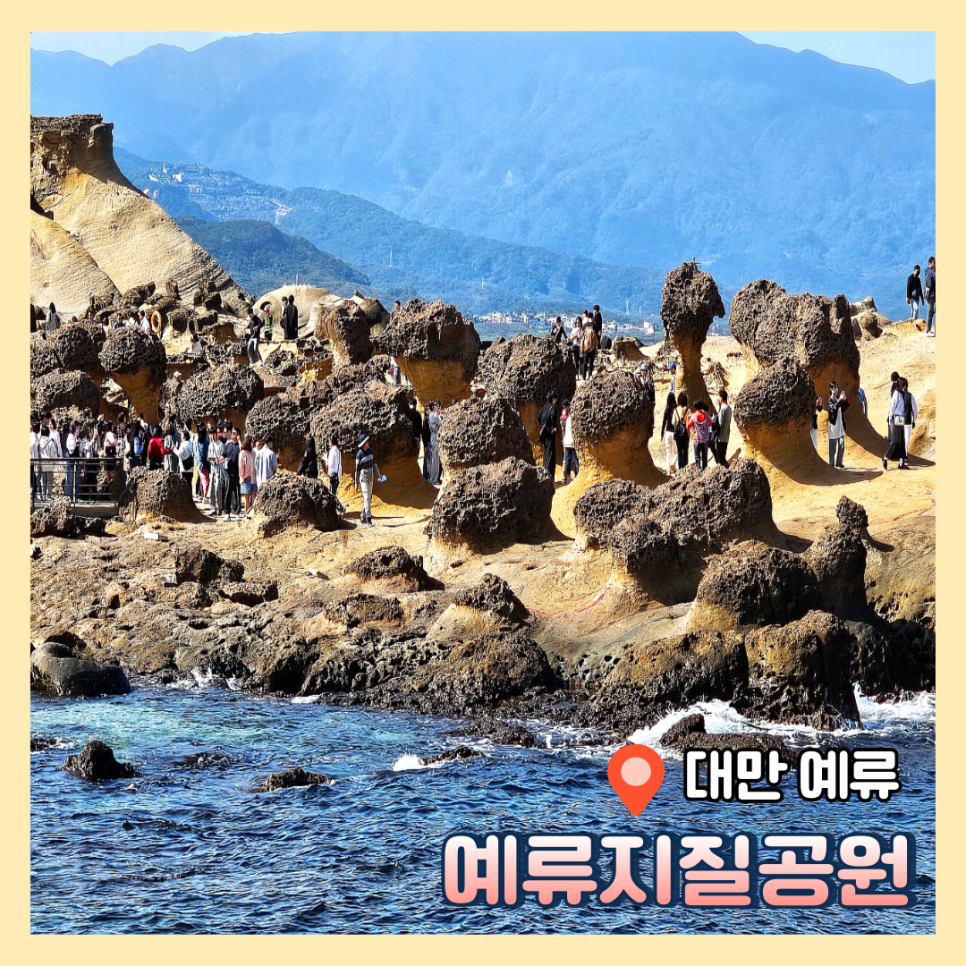 브이호스텔 이미지