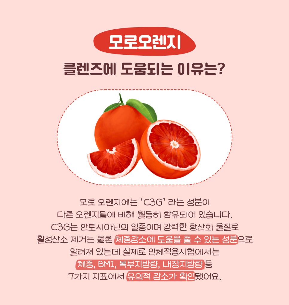 오렌지빠 이미지