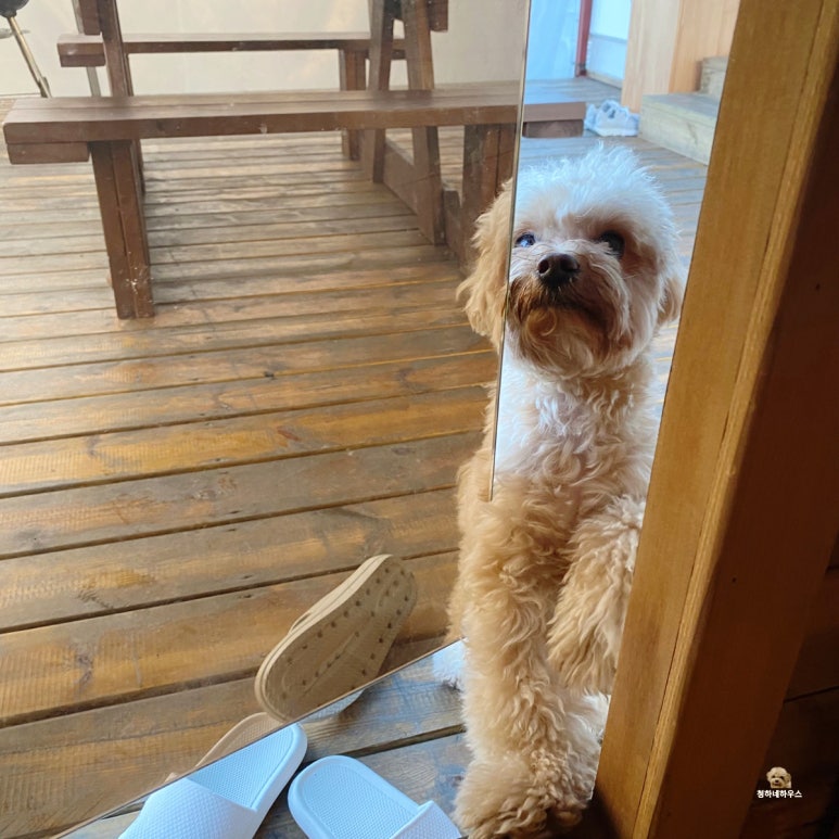 청하사우나 이미지