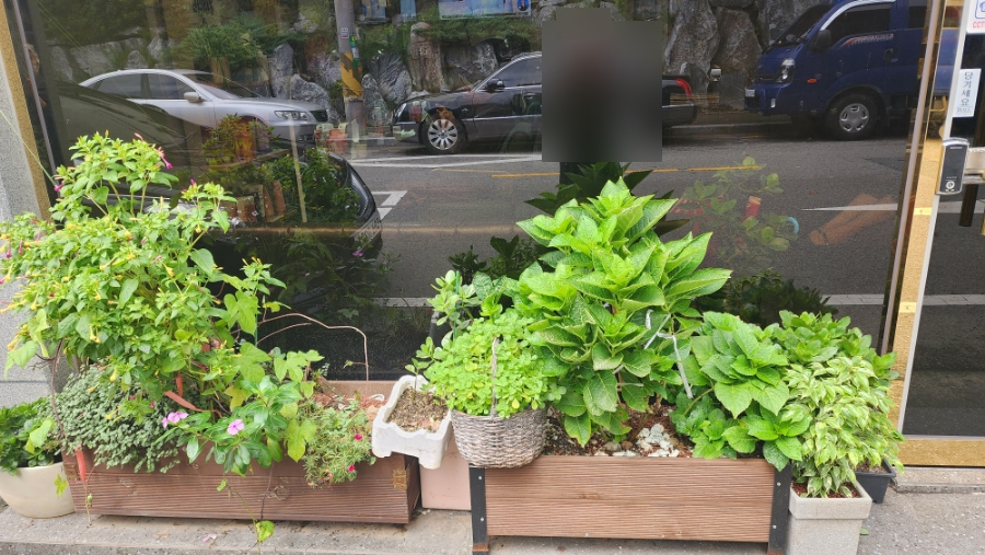 채연미장 이미지