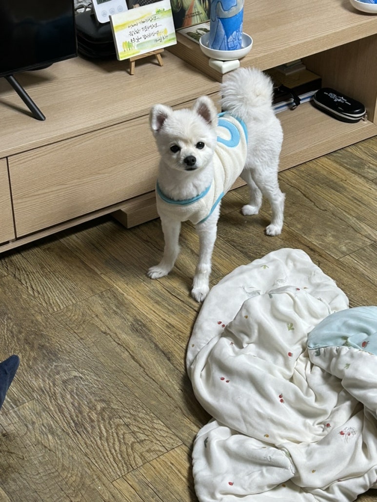 미쳐버린파닭(대림점) 이미지