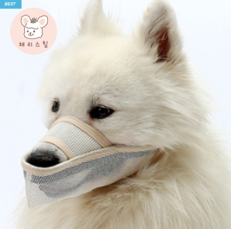 해리스 스토어 이미지