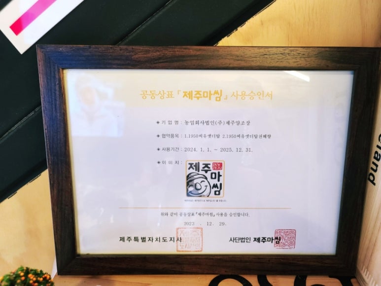 제주마씸투어 이미지