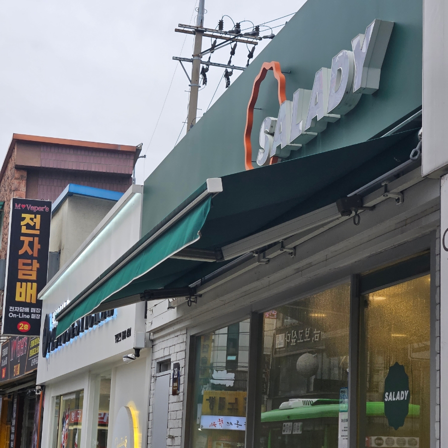 샐러디미아 이미지